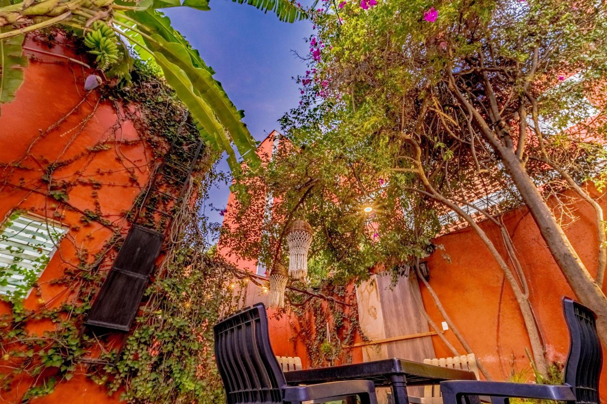 Casa Guanab Guest House Oaxaca Dış mekan fotoğraf